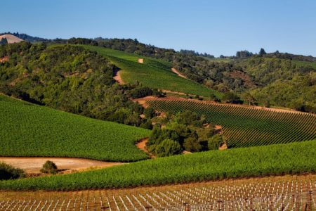 sonoma valley